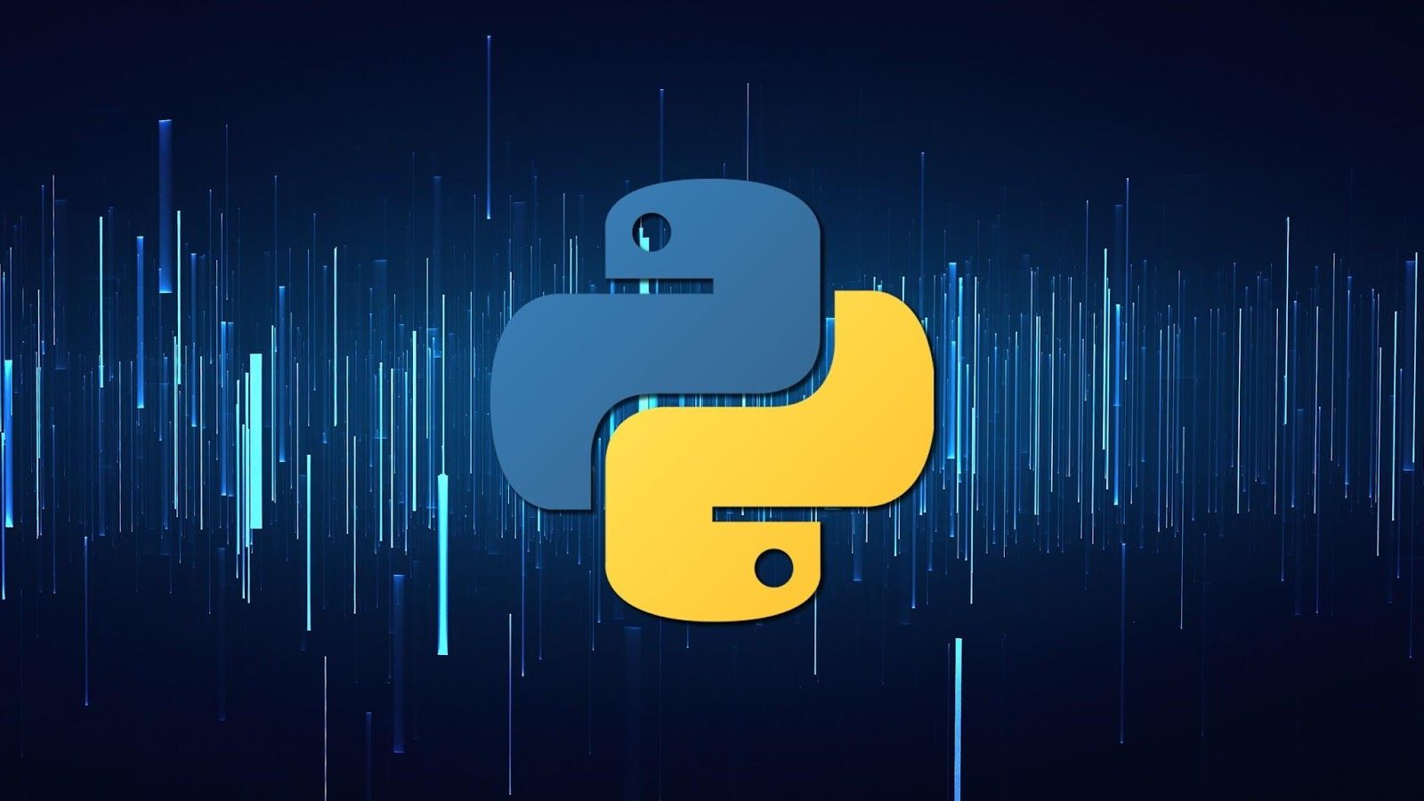 Privatlivets fred: C# vs Python